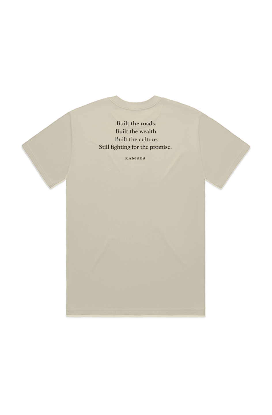 WE BUILT THIS COUNTRY. Heavy Tee