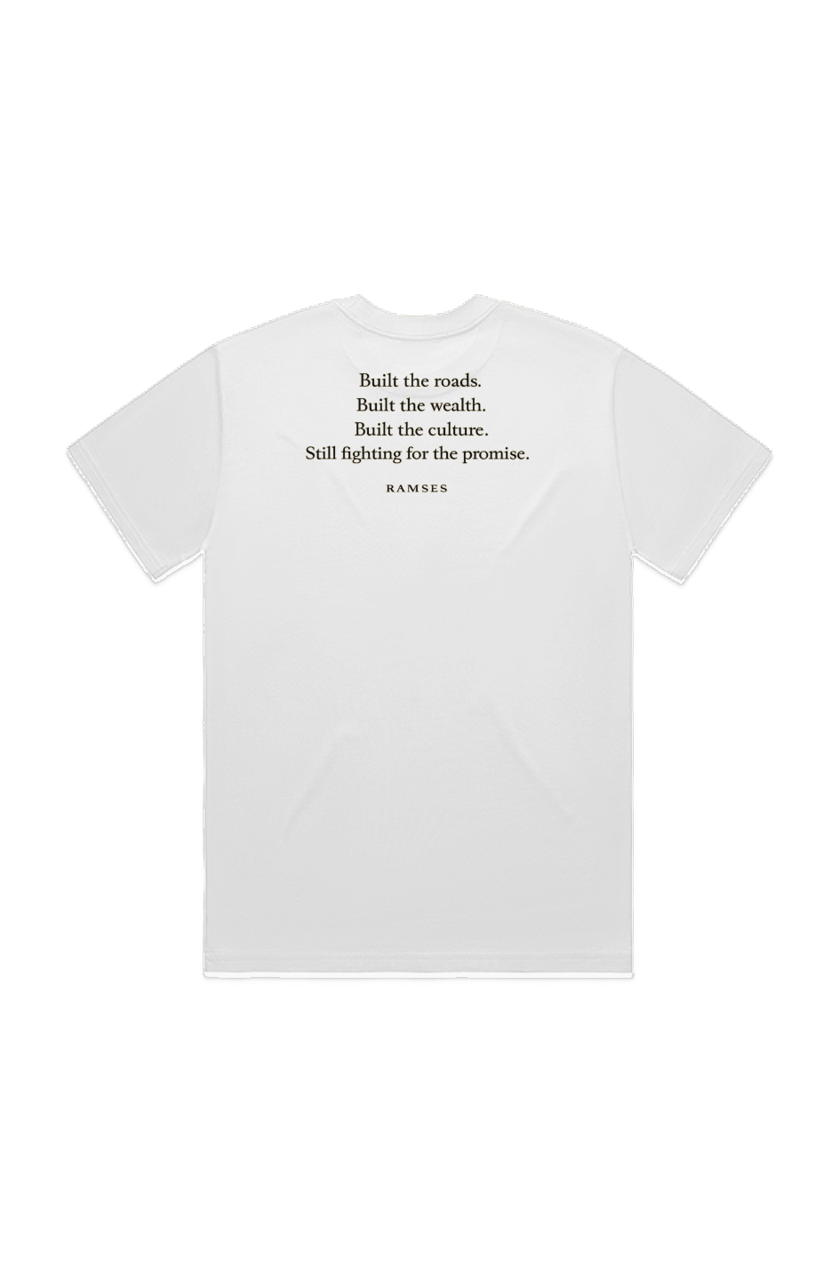 WE BUILT THIS COUNTRY. Heavy Tee