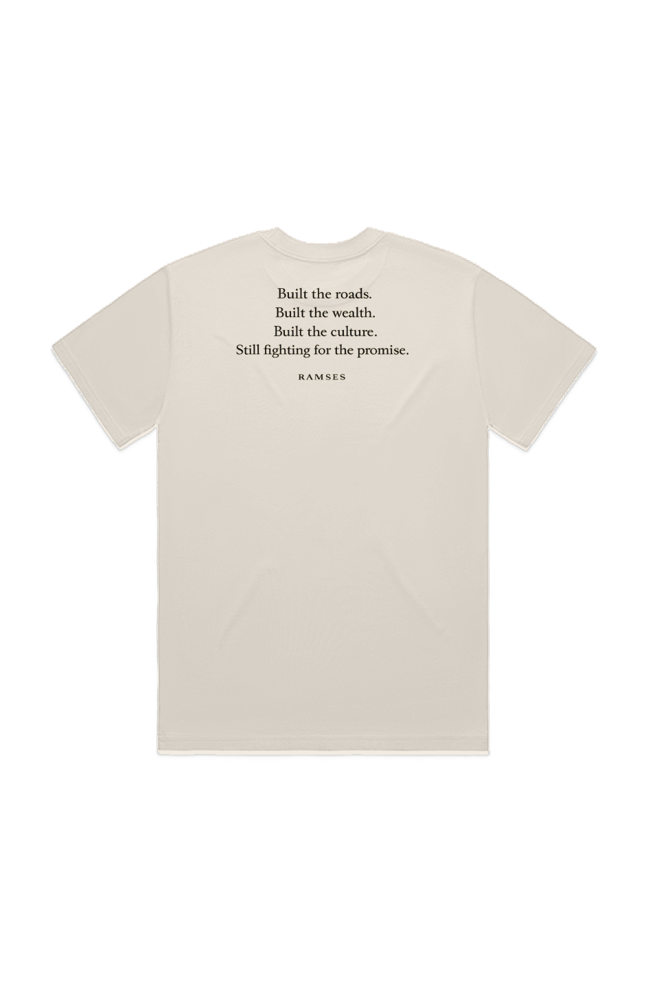 WE BUILT THIS COUNTRY. Heavy Tee